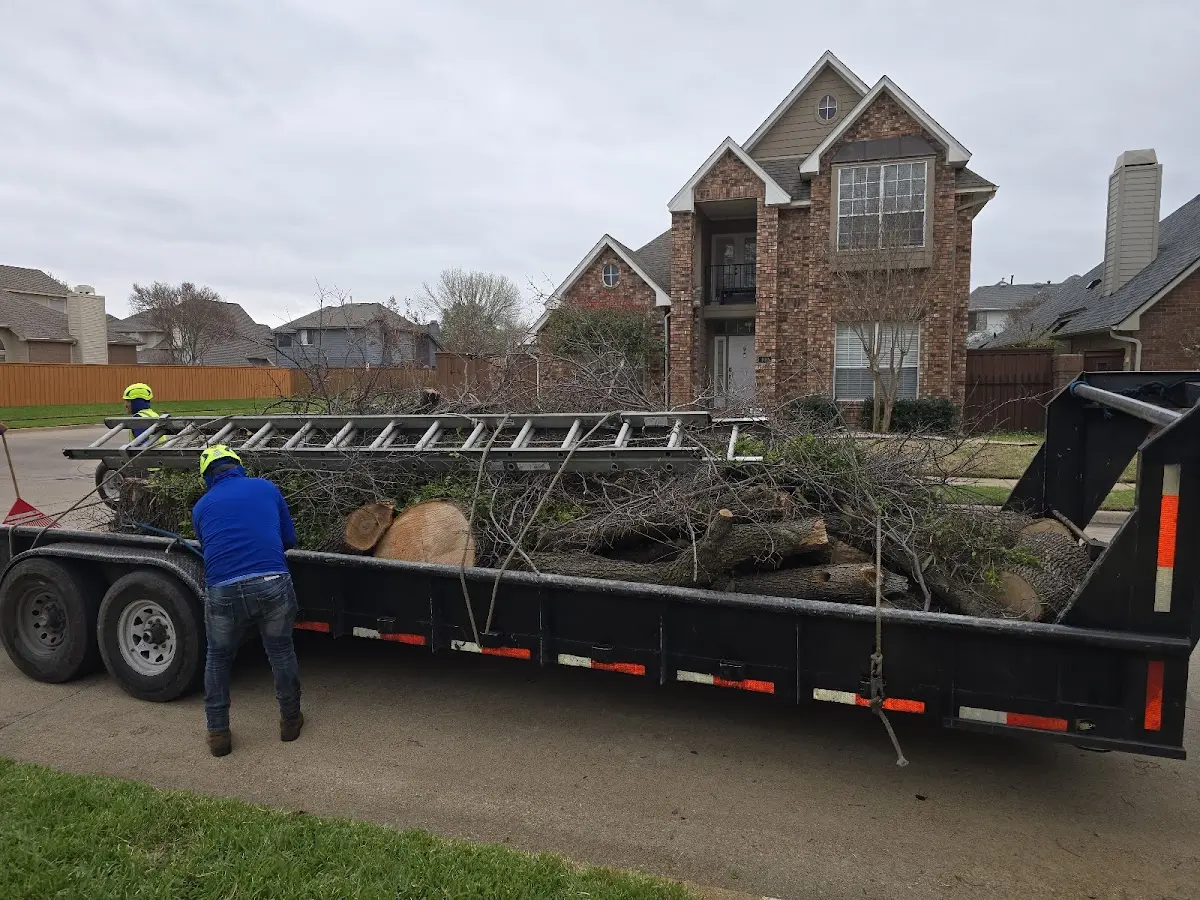 Expert Tree Fertilization with proper safety equipment in Peel